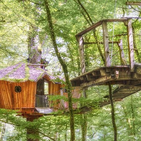 L'Arbre A Cabane Guyonvelle エクステリア 写真