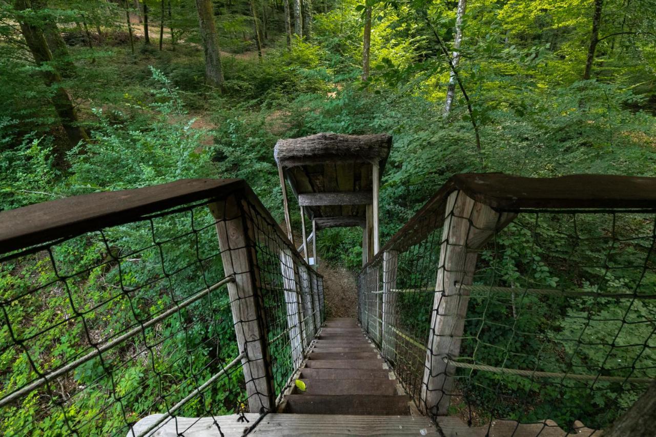 L'Arbre A Cabane Guyonvelle エクステリア 写真