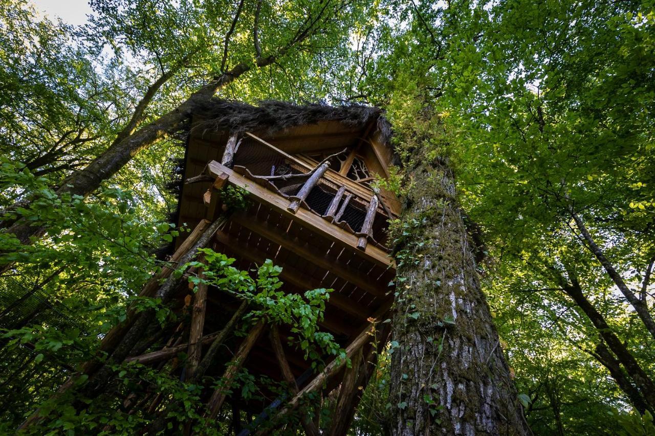 L'Arbre A Cabane Guyonvelle エクステリア 写真