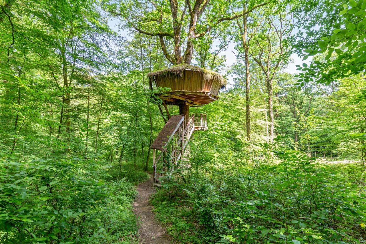 L'Arbre A Cabane Guyonvelle エクステリア 写真