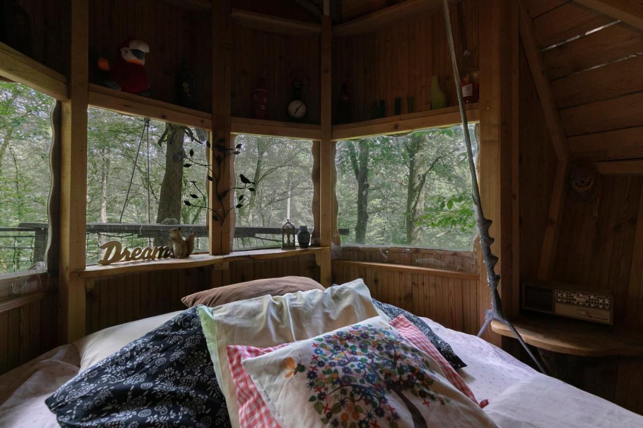L'Arbre A Cabane Guyonvelle エクステリア 写真