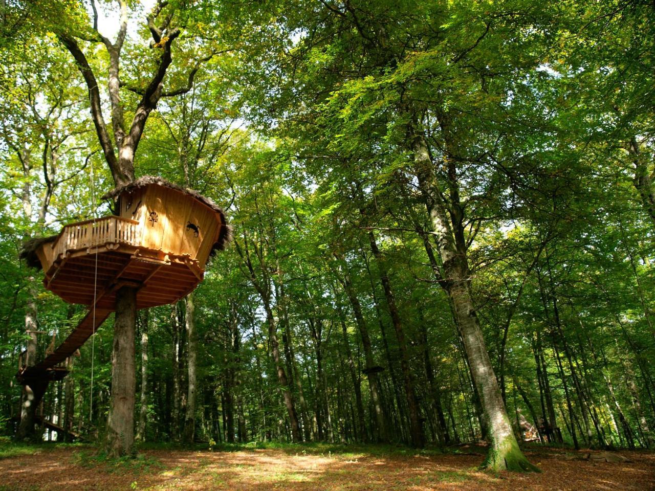 L'Arbre A Cabane Guyonvelle エクステリア 写真