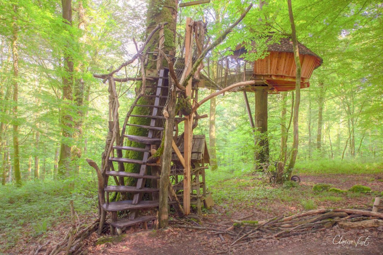 L'Arbre A Cabane Guyonvelle エクステリア 写真
