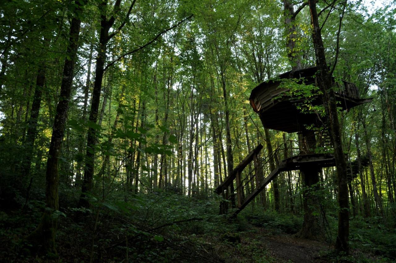 L'Arbre A Cabane Guyonvelle エクステリア 写真