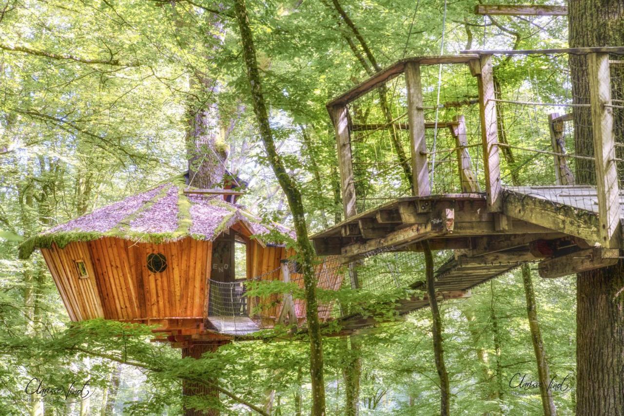 L'Arbre A Cabane Guyonvelle エクステリア 写真