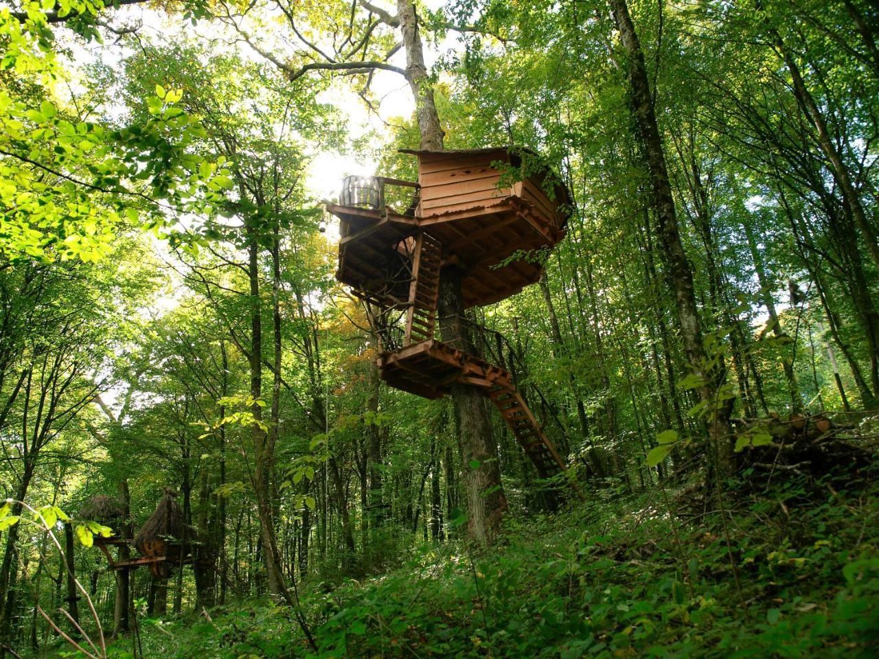 L'Arbre A Cabane Guyonvelle エクステリア 写真
