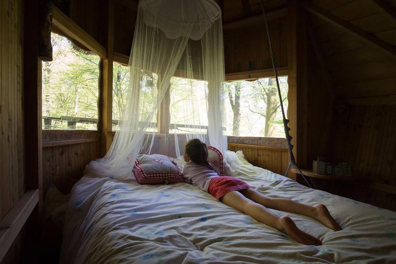 L'Arbre A Cabane Guyonvelle エクステリア 写真