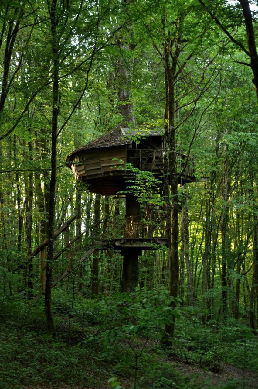 L'Arbre A Cabane Guyonvelle エクステリア 写真
