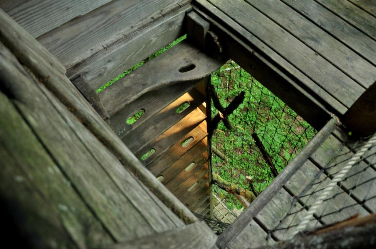 L'Arbre A Cabane Guyonvelle エクステリア 写真