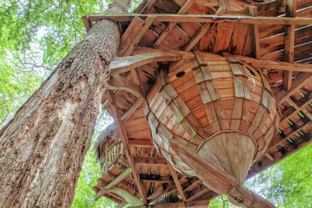 L'Arbre A Cabane Guyonvelle エクステリア 写真